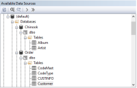 DataFlex Reports, data sources, image