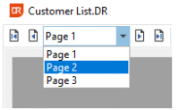 DataFlex Reports, screen, pages
